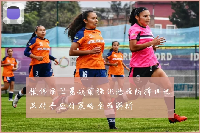 张伟丽卫冕战前强化地面防摔训练及对手应对策略全面解析